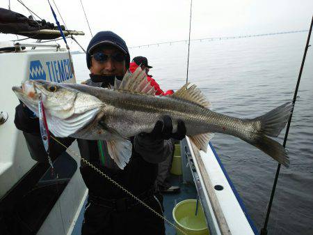 深川 吉野屋 釣果