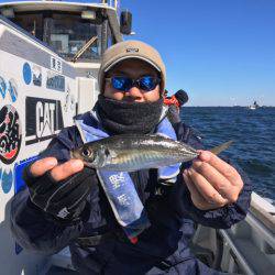 深川 吉野屋 釣果