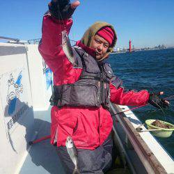 深川 吉野屋 釣果