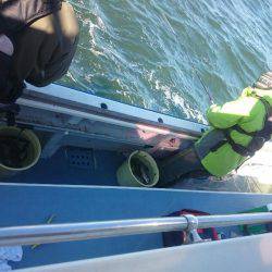 深川 吉野屋 釣果