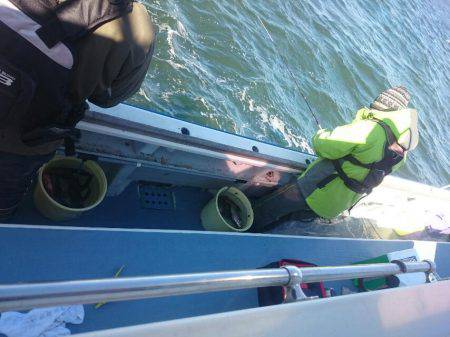 深川 吉野屋 釣果