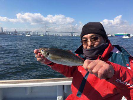 深川 吉野屋 釣果