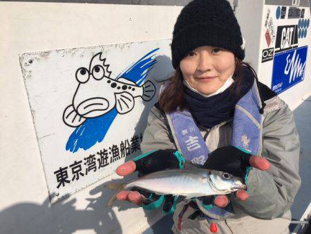 深川 吉野屋 釣果