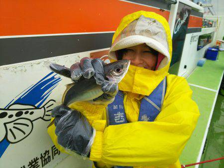 深川　吉野屋 釣果