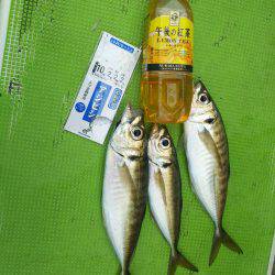 深川 吉野屋 釣果