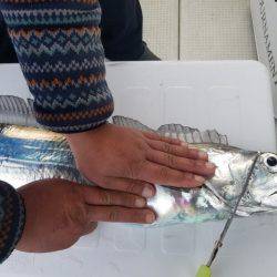 遊漁船　ニライカナイ 釣果