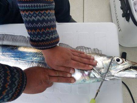 遊漁船　ニライカナイ 釣果