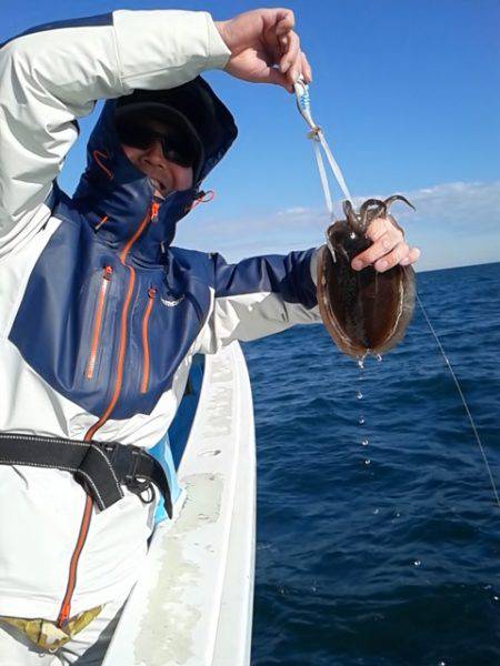 さわ浦丸 釣果