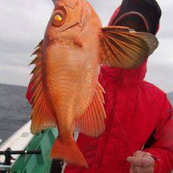 第二むつ漁丸 釣果