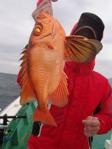 第二むつ漁丸 釣果