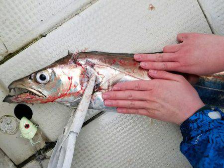 遊漁船　ニライカナイ 釣果