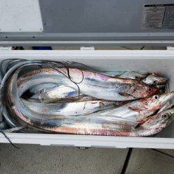 遊漁船 ニライカナイ 釣果