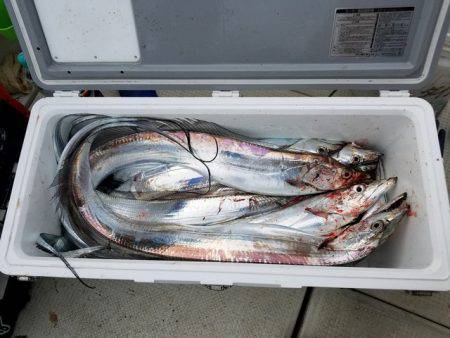 遊漁船 ニライカナイ 釣果