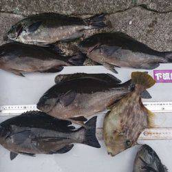 坂下丸 釣果