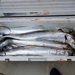 遊漁船 ニライカナイ 釣果