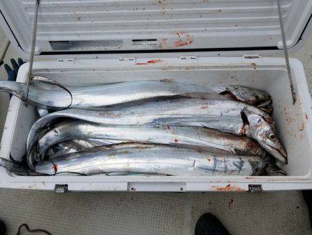 遊漁船 ニライカナイ 釣果