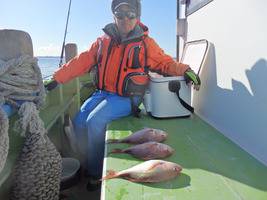 久里浜黒川本家 釣果