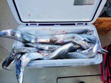 遊漁船　ニライカナイ 釣果