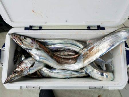 遊漁船　ニライカナイ 釣果