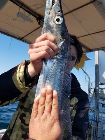 遊漁船　ニライカナイ 釣果