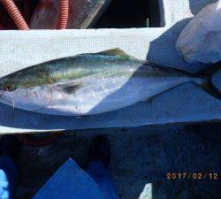 石川丸 釣果