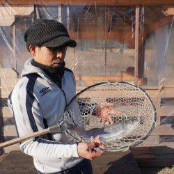 フィッシングレイクたかみや 釣果