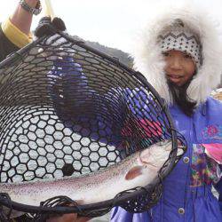 フィッシングレイクたかみや 釣果