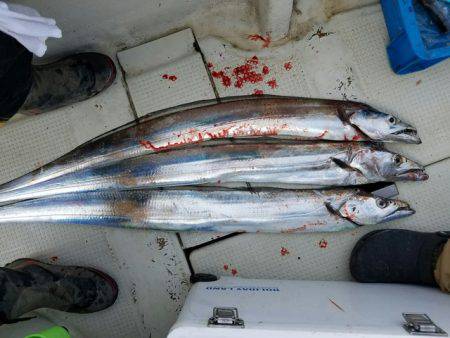 遊漁船　ニライカナイ 釣果