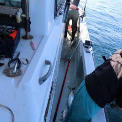 スカイマリン 釣果