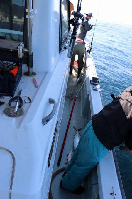 スカイマリン 釣果