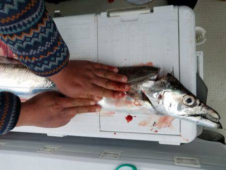 遊漁船 ニライカナイ 釣果