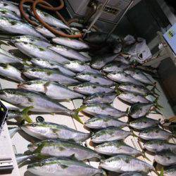 スカイマリン 釣果