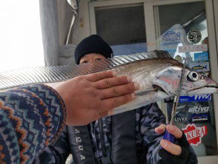 遊漁船　ニライカナイ 釣果