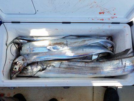 遊漁船　ニライカナイ 釣果