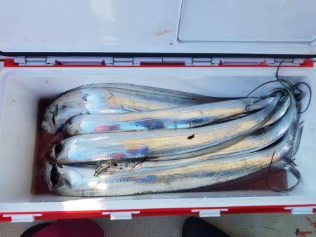 遊漁船　ニライカナイ 釣果