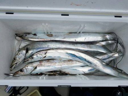 遊漁船　ニライカナイ 釣果