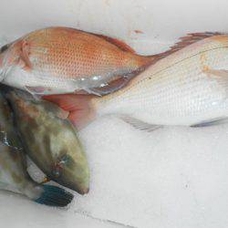 こうゆう丸 釣果