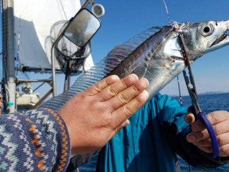 遊漁船　ニライカナイ 釣果