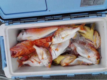 第二大福丸 釣果