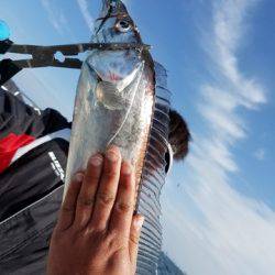 遊漁船 ニライカナイ 釣果