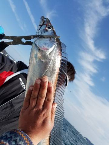 遊漁船 ニライカナイ 釣果