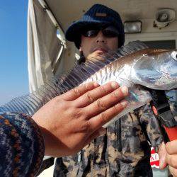 遊漁船 ニライカナイ 釣果