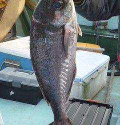 松福丸 釣果