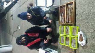 ディープ オーシャン 釣果