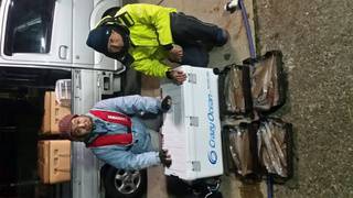 ディープ オーシャン 釣果