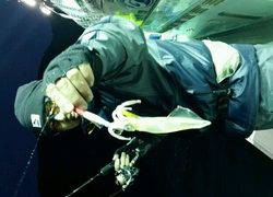 ディープ オーシャン 釣果