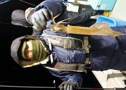 ディープ オーシャン 釣果