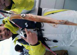 ディープ オーシャン 釣果