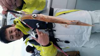 ディープ オーシャン 釣果