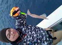 ディープ オーシャン 釣果